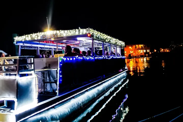 Osprey during Nights of Lights St Augustine