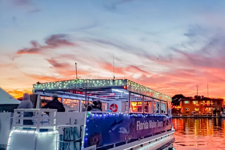Osprey during Nights of Lights