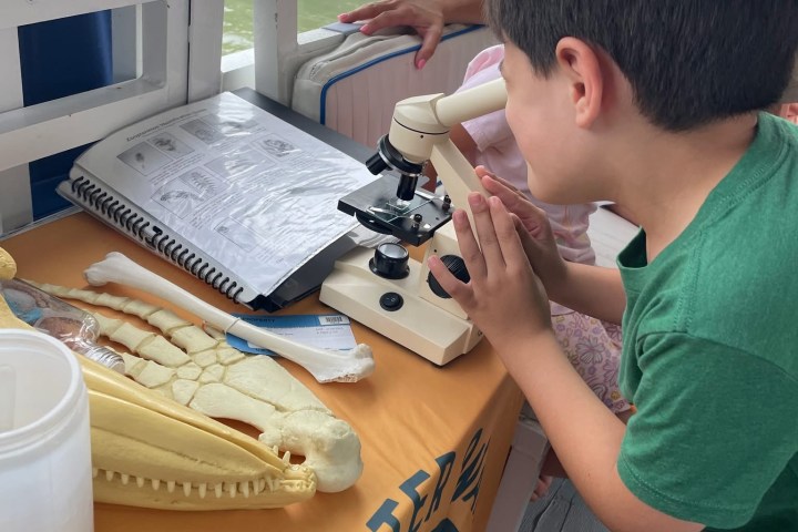Child looking through microscope on a boat, with crocodile skull and book on table.