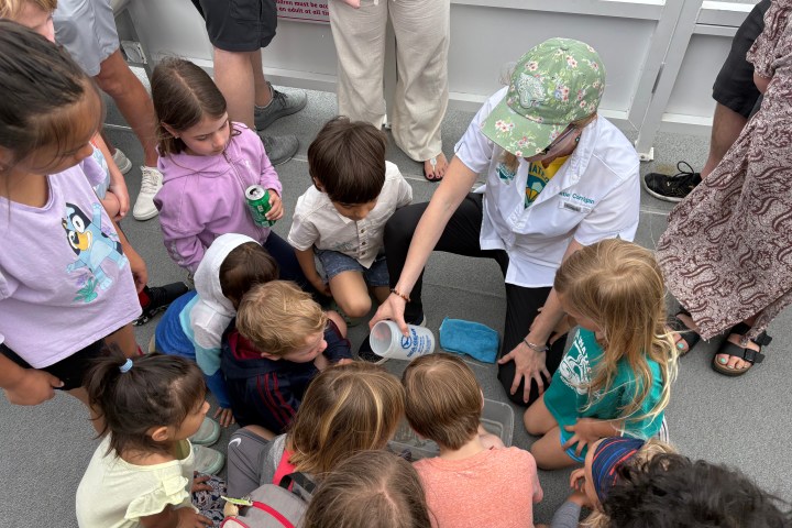 Group of children gather around an adult showing them something in a cup on a boat.