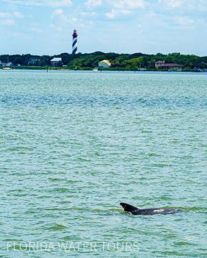 a man flying through the air over a body of water