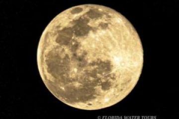 Detailed close-up of a full moon against a black sky.