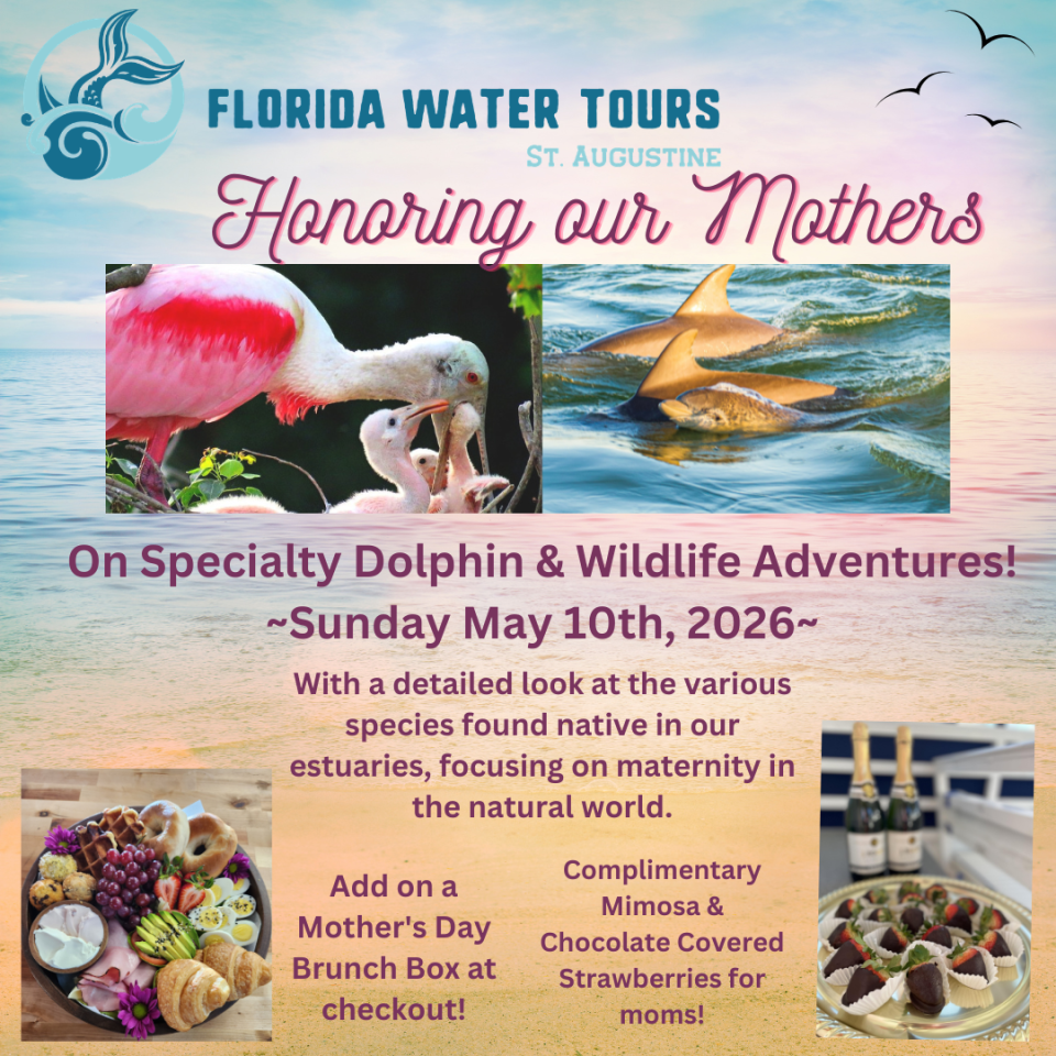 Promotional poster for Florida Water Tours Mother's Day event with images of nature and brunch offerings.