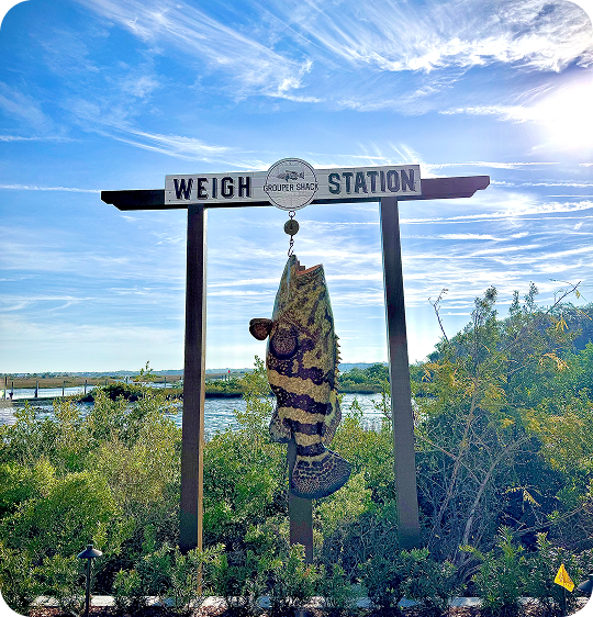 Fish hanging at weigh station under clear sky near water and bushes.