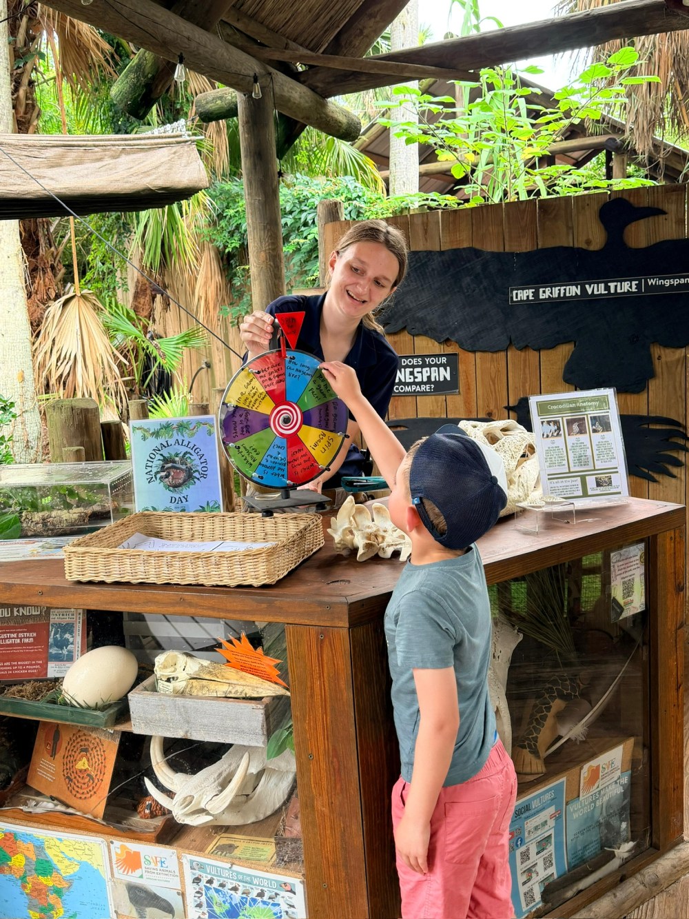 Child and adult at a nature exhibit with a colorful spin wheel and animal skulls.