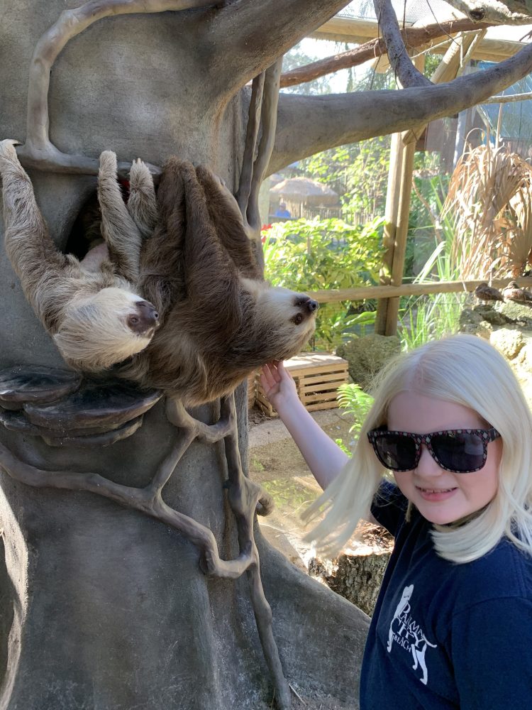 Person in sunglasses with sloths on tree branch in a zoo setting.