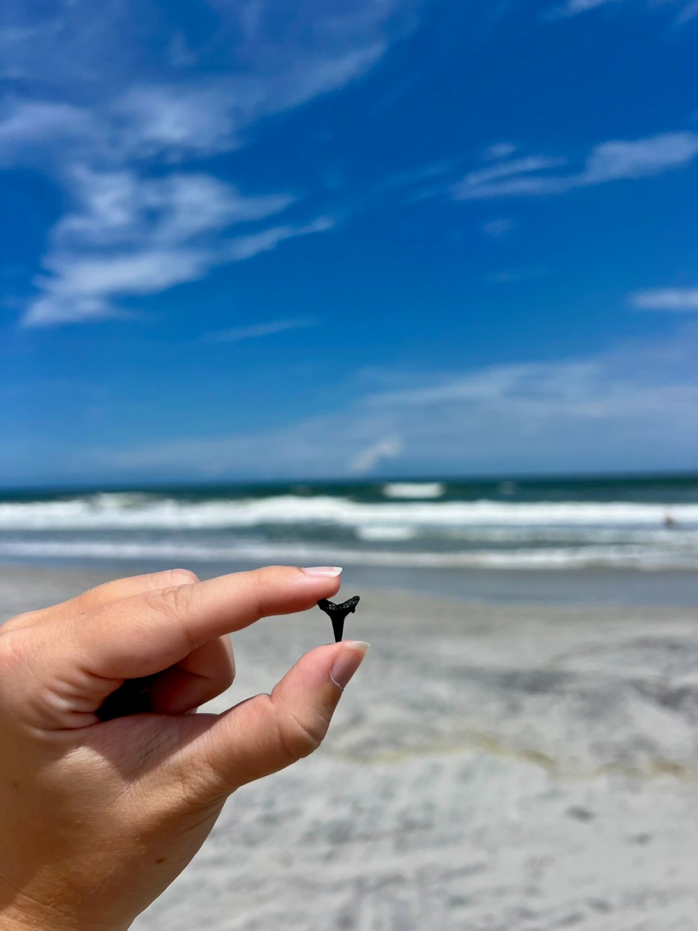 Hand holding a small object against a beach and ocean backdrop.